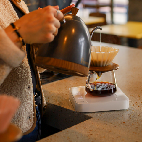 Workshop tickets - Filter brewing