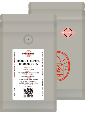 Frinsa Indonesia Filter